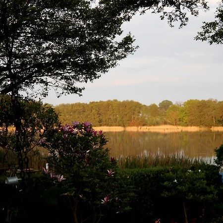 Bungalow Idylle Am See 诺伊鲁平 外观 照片