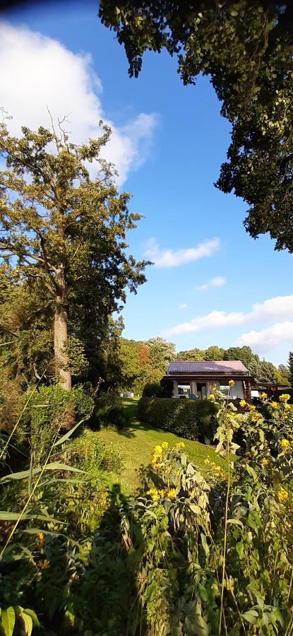 Bungalow Idylle Am See 诺伊鲁平 外观 照片