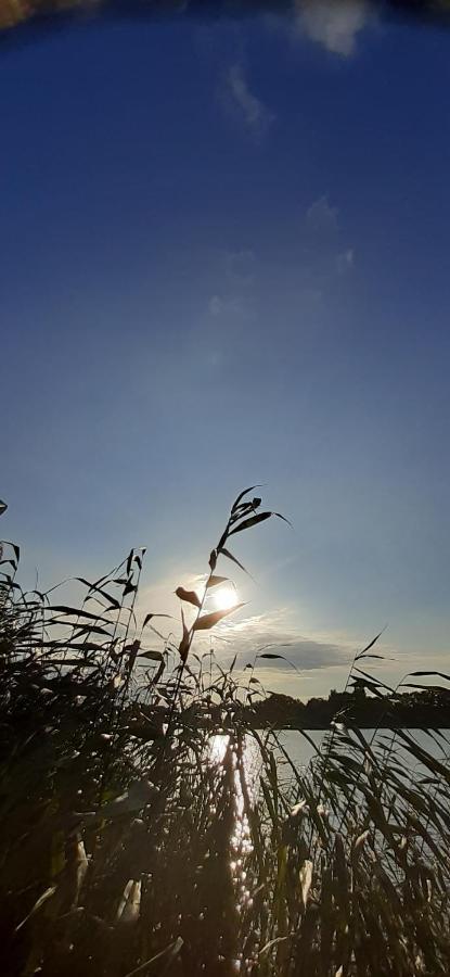 Bungalow Idylle Am See 诺伊鲁平 外观 照片