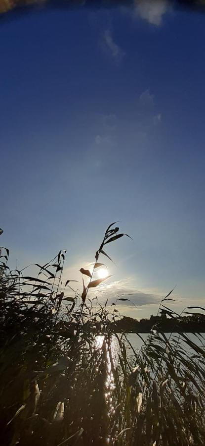 诺伊鲁平Bungalow Idylle Am See别墅 外观 照片