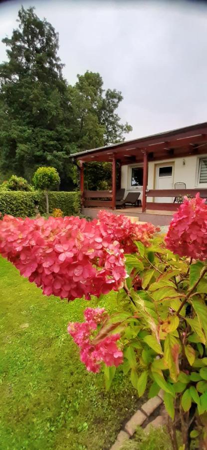Bungalow Idylle Am See 诺伊鲁平 外观 照片