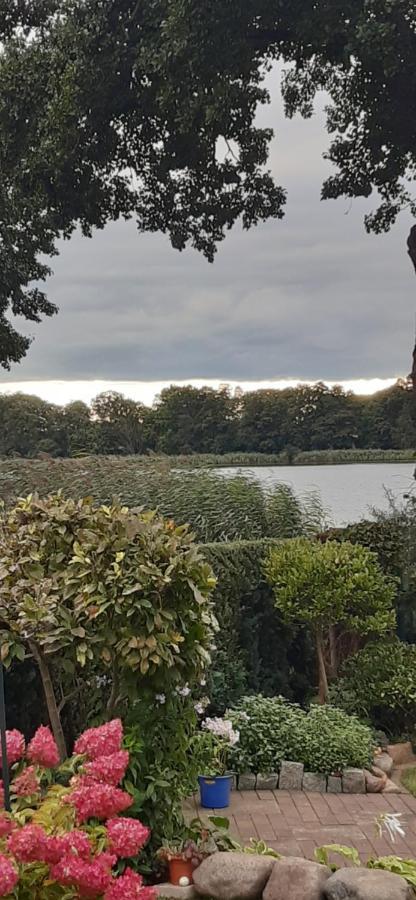 Bungalow Idylle Am See 诺伊鲁平 外观 照片