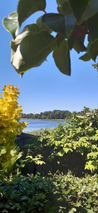Bungalow Idylle Am See 诺伊鲁平 外观 照片