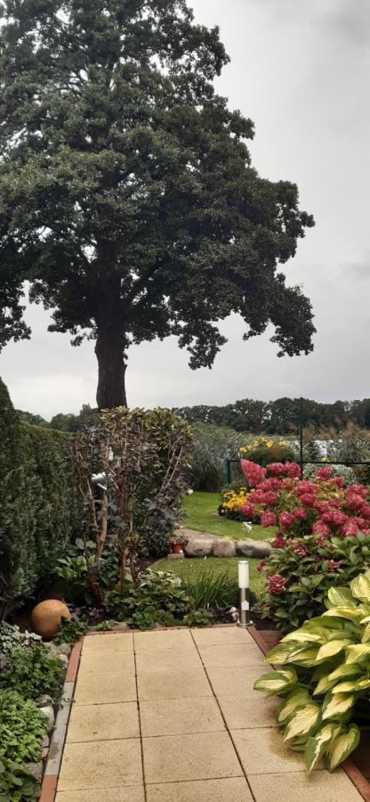 Bungalow Idylle Am See 诺伊鲁平 外观 照片