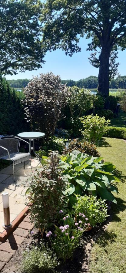 Bungalow Idylle Am See 诺伊鲁平 外观 照片