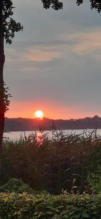 Bungalow Idylle Am See 诺伊鲁平 外观 照片