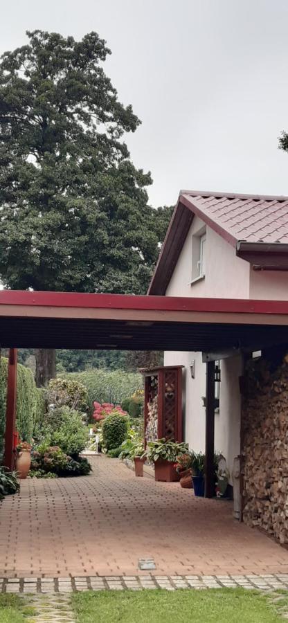 Bungalow Idylle Am See 诺伊鲁平 外观 照片