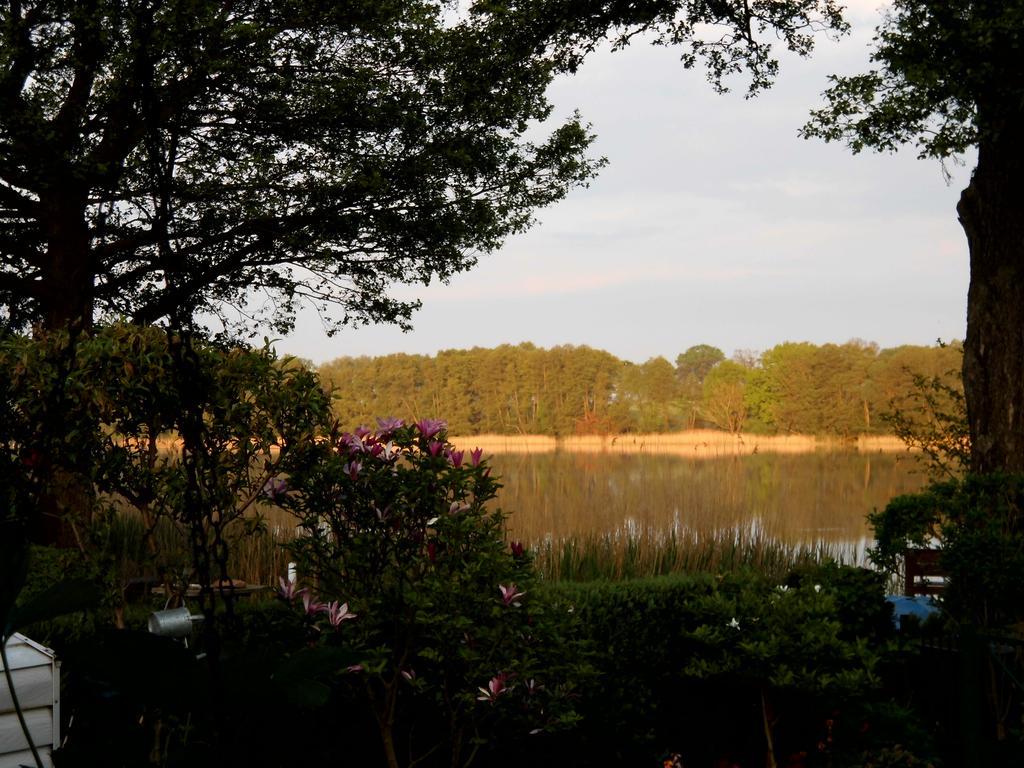 Bungalow Idylle Am See 诺伊鲁平 外观 照片